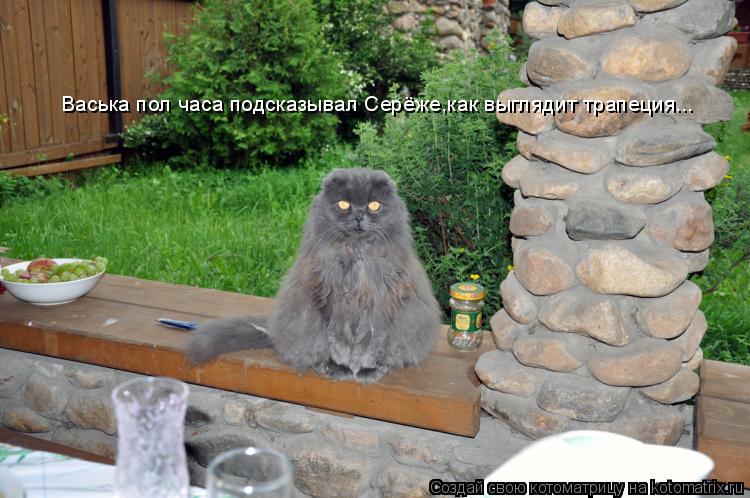 Васька пол часа подсказывал Серёже,как выглядит трапеция...... Котоматрица: Васька пол часа подсказывал Серёже,как выглядит трапеция...