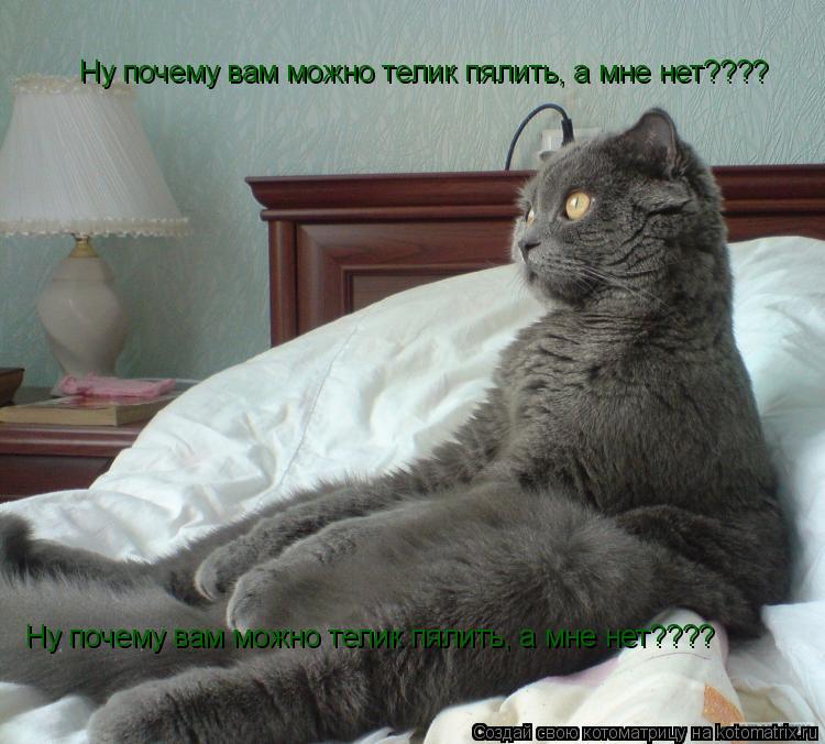 Ну почему вам можно телик пялить, а мне нет???? Ну почему вам можно телик пялить, а мне нет????... Котоматрица: Ну почему вам можно телик пялить, а мне нет???? Ну почему вам можно телик пялить, а мне нет????