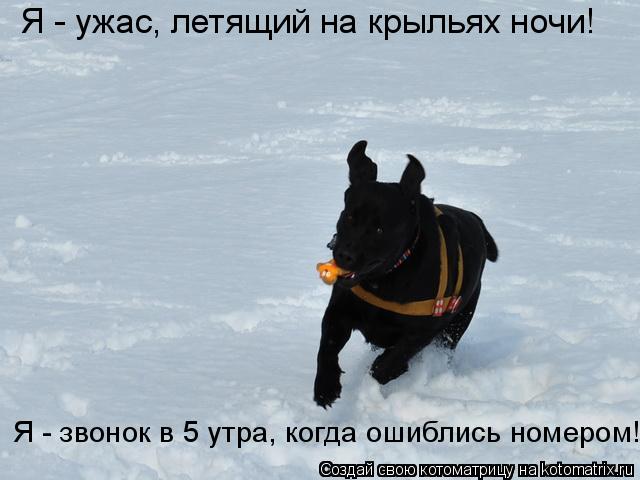 Я - ужас, летящий на крыльях ночи! Я - звонок в 5 утра, когда ошиблись номером!... Котоматрица: Я - ужас, летящий на крыльях ночи! Я - звонок в 5 утра, когда ошиблись номером!