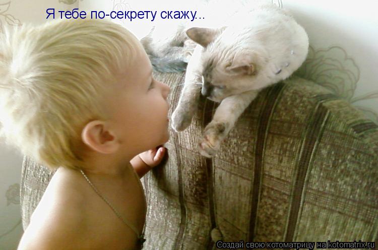 Я тебе по-секрету скажу...... Котоматрица: Я тебе по-секрету скажу...