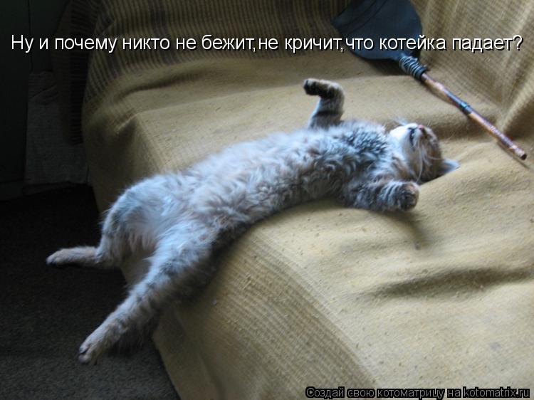 Ну и почему никто не бежит,не кричит,что котейка падает?... Котоматрица: Ну и почему никто не бежит,не кричит,что котейка падает?