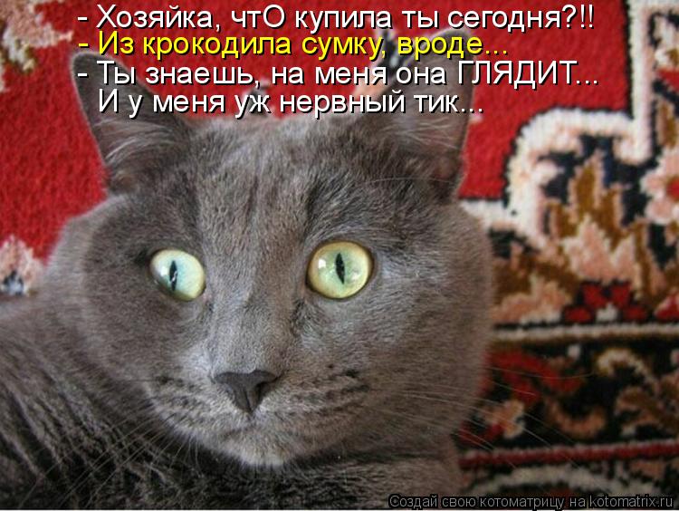 - Хозяйка, чтО купила ты сегодня?!! - Из крокодила сумку, вроде... - Ты знаешь, на меня она ГЛЯДИТ...... Котоматрица: - Хозяйка, чтО купила ты сегодня?!! - Из крокодила сумку, вроде... - Ты знаешь, на меня она ГЛЯДИТ... И у меня уж нервный тик...