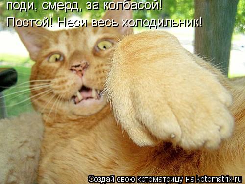 поди, смерд, за колбасой! Постой! Неси весь холодильник!... Котоматрица: поди, смерд, за колбасой! Постой! Неси весь холодильник!