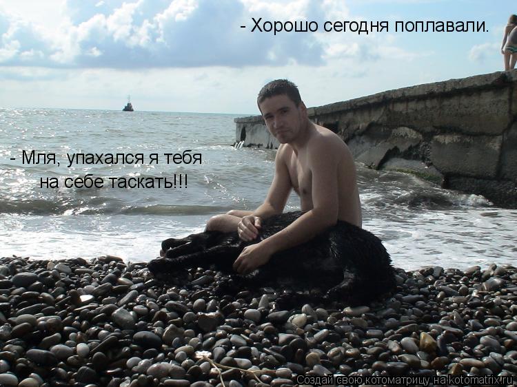 - Хорошо сегодня поплавали. - Мля, упахался я тебя на себе таскать!!!... Котоматрица: - Хорошо сегодня поплавали. - Мля, упахался я тебя на себе таскать!!!