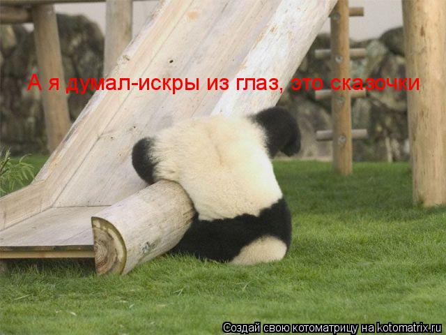 А я думал-искры из глаз, это сказочки... Котоматрица: А я думал-искры из глаз, это сказочки