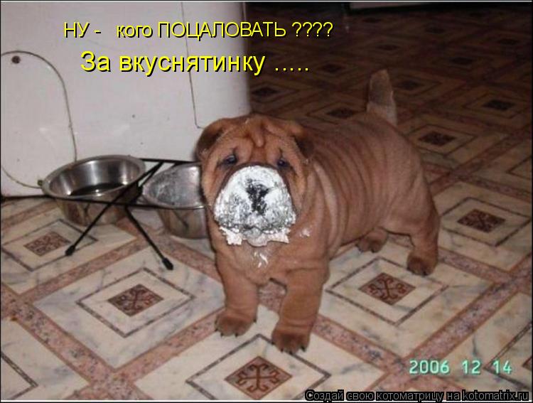 НУ - кого ПОЦАЛОВАТЬ ???? За вкуснятинку ........ Котоматрица: НУ - кого ПОЦАЛОВАТЬ ???? За вкуснятинку .....