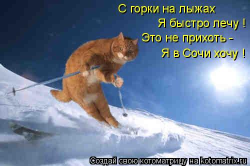 С горки на лыжах Я быстро лечу ! Это не прихоть - Я в Сочи хочу !... Котоматрица: С горки на лыжах Я быстро лечу ! Это не прихоть - Я в Сочи хочу !