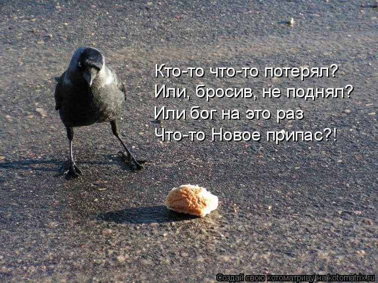 Или бог на это раз Что-то Новое припас?! Или, бросив, не поднял? Кто-то что-то потерял?... Котоматрица: Или бог на это раз Что-то Новое припас?! Или, бросив, не поднял? Кто-то что-то потерял?