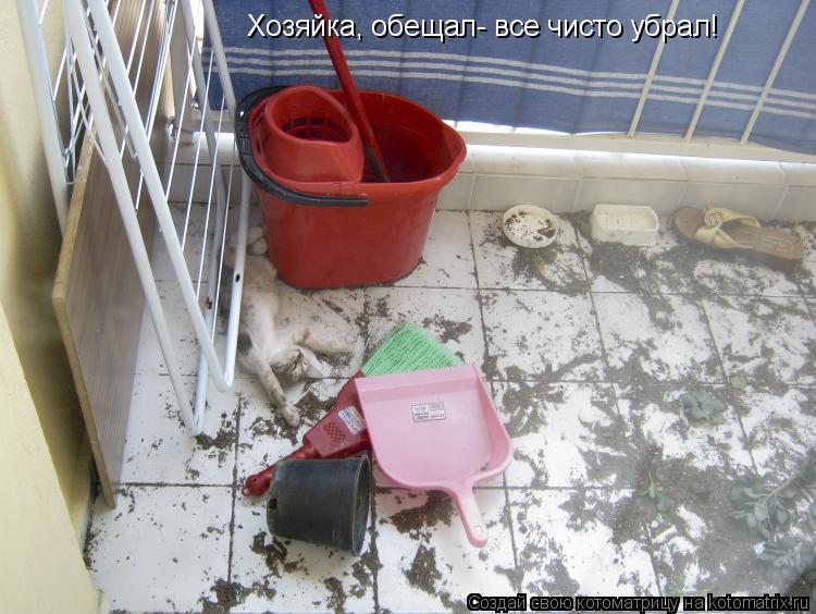 Хозяйка, обещал- все чисто убрал!... Котоматрица: Хозяйка, обещал- все чисто убрал!