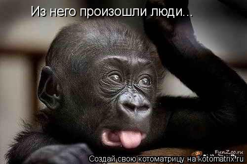 Из него произошли люди...... Котоматрица: Из него произошли люди...