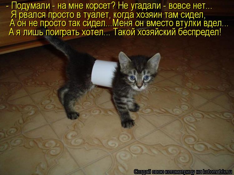 - Подумали - на мне корсет? Не угадали - вовсе нет... Я рвался просто в туалет, когда хозяин там сиде... Котоматрица: - Подумали - на мне корсет? Не угадали - вовсе нет... Я рвался просто в туалет, когда хозяин там сидел, А он не просто так сидел...Меня он вместо в