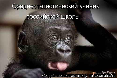 Среднестатистический ученик российской школы... Котоматрица: Среднестатистический ученик российской школы