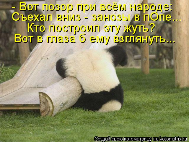 - Вот позор при всём народе: Съехал вниз - занозы в пОпе... Кто построил эту жуть? Вот в глаза б ему ... Котоматрица: - Вот позор при всём народе: Съехал вниз - занозы в пОпе... Кто построил эту жуть? Вот в глаза б ему взглянуть...