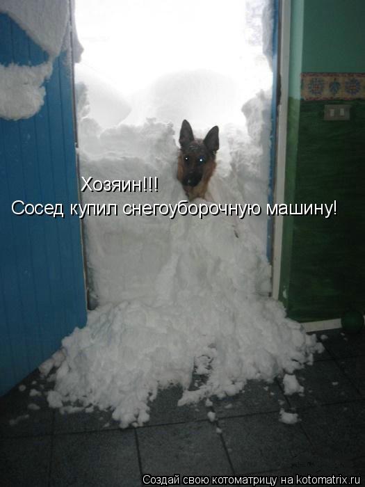 Хозяин!!! Сосед купил снегоуборочную машину!... Котоматрица: Хозяин!!! Сосед купил снегоуборочную машину!