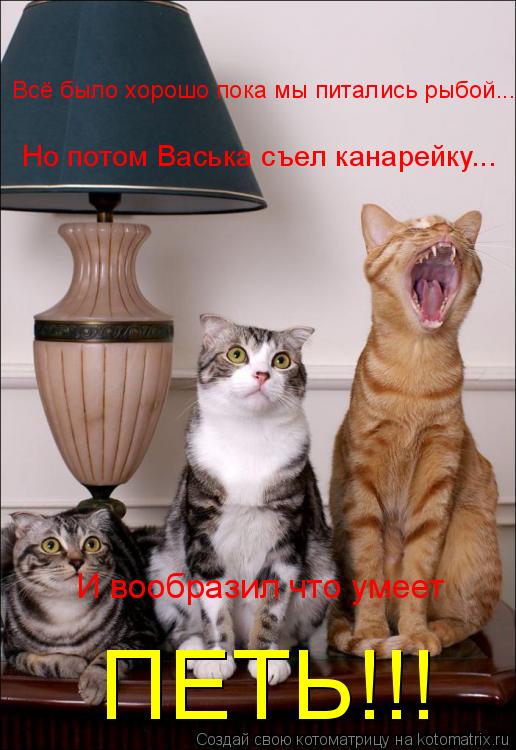 Всё было хорошо пока мы питались рыбой... Но потом Васька съел канарейку... И вообразил что умеет ПЕТ... Котоматрица: Всё было хорошо пока мы питались рыбой... Но потом Васька съел канарейку... И вообразил что умеет ПЕТЬ!!!