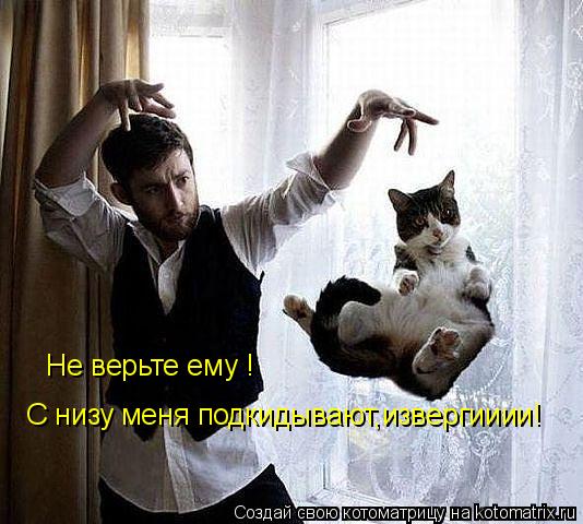 С низу меня подкидывают,извергииии! Не верьте ему !... Котоматрица: С низу меня подкидывают,извергииии! Не верьте ему !