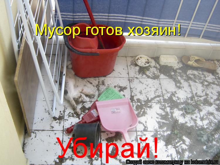 Мусор готов хозяин! Убирай!... Котоматрица: Мусор готов хозяин! Убирай!