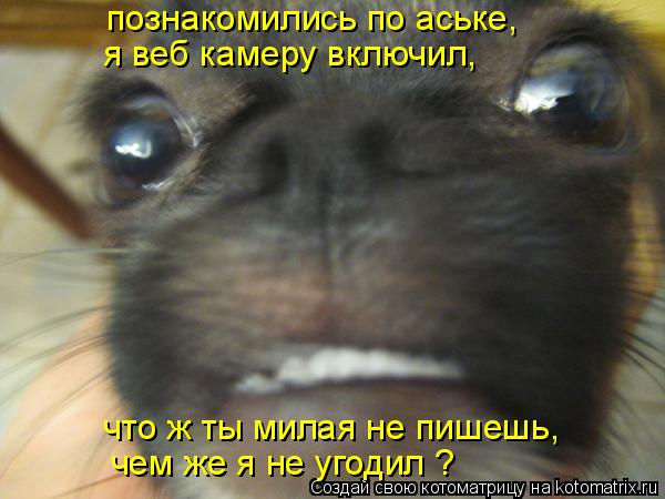 познакомились по аське, я веб камеру включил, что ж ты милая не пишешь, чем же я не угодил ?... Котоматрица: познакомились по аське, я веб камеру включил, что ж ты милая не пишешь, чем же я не угодил ?