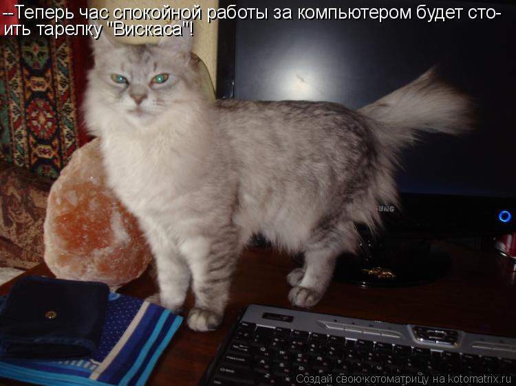 --Теперь час спокойной работы за компьютером будет сто- ить тарелку "Вискаса"!... Котоматрица: --Теперь час спокойной работы за компьютером будет сто- ить тарелку "Вискаса"!