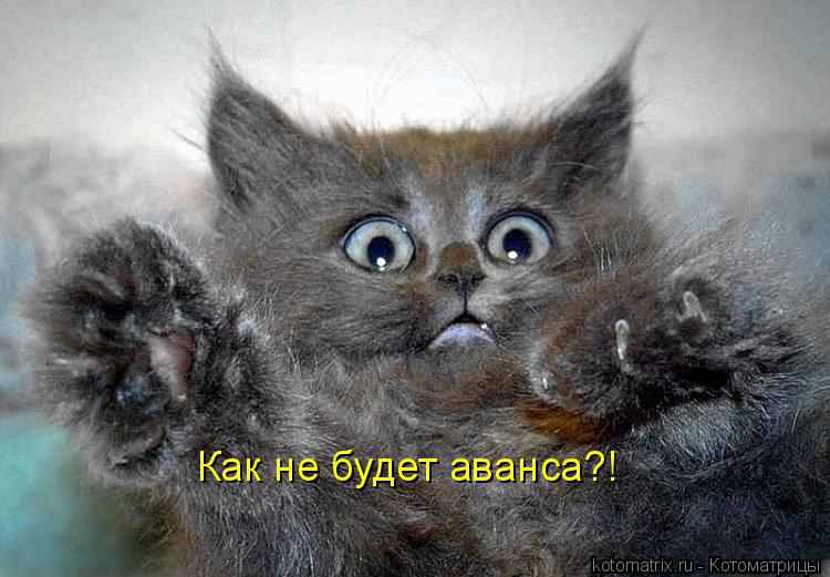 Как не будет аванса?!... Котоматрица: Как не будет аванса?!