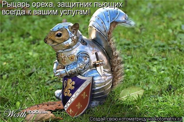 Рыцарь ореха, защитник пьющих всегда к вашим услугам!... Котоматрица: Рыцарь ореха, защитник пьющих всегда к вашим услугам!