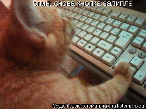 блин, снова кнопка залипла!... Котоматрица: блин, снова кнопка залипла!