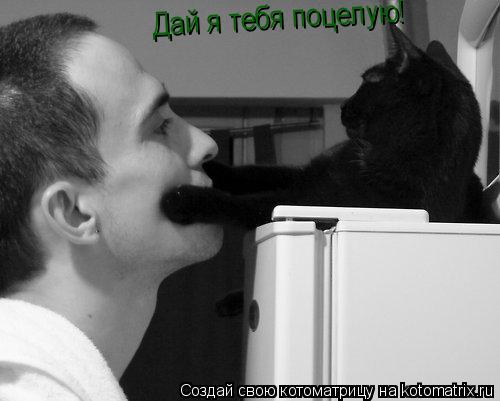 Дай я тебя поцелую!... Котоматрица: Дай я тебя поцелую!