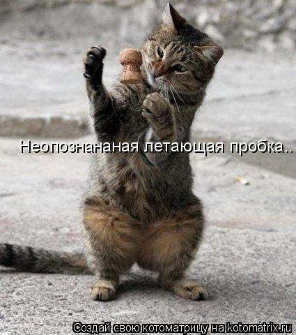 Неопознананая летающая пробка..... Котоматрица: Неопознананая летающая пробка..