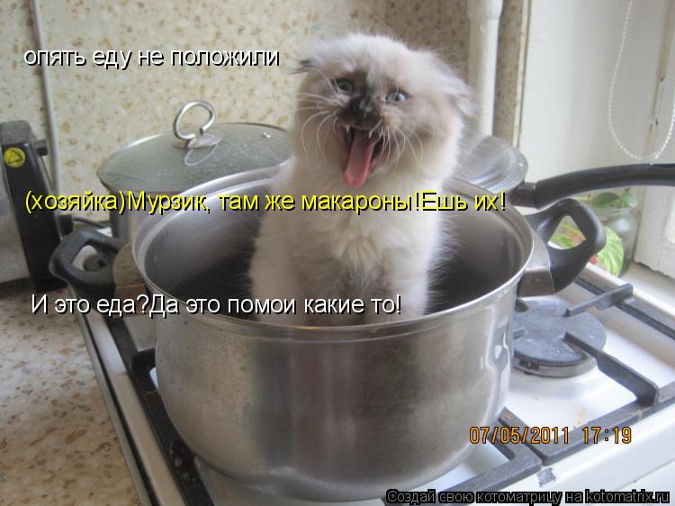 опять еду не положили (хозяйка)Мурзик, там же макароны!Ешь их! И это еда?Да это помои какие то!... Котоматрица: опять еду не положили (хозяйка)Мурзик, там же макароны!Ешь их! И это еда?Да это помои какие то!