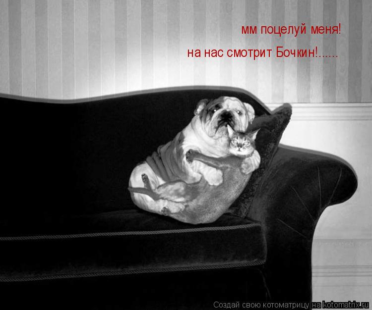 мм поцелуй меня! на нас смотрит Бочкин!......... Котоматрица: мм поцелуй меня! на нас смотрит Бочкин!......