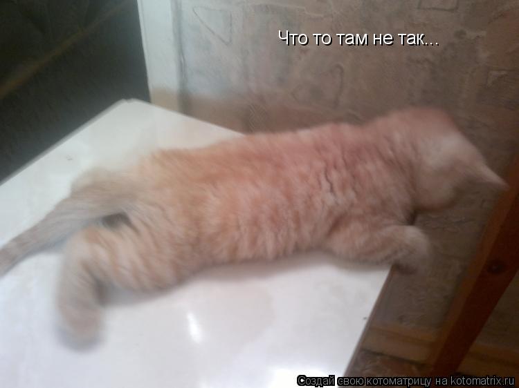 Что то там не так...... Котоматрица: Что то там не так...