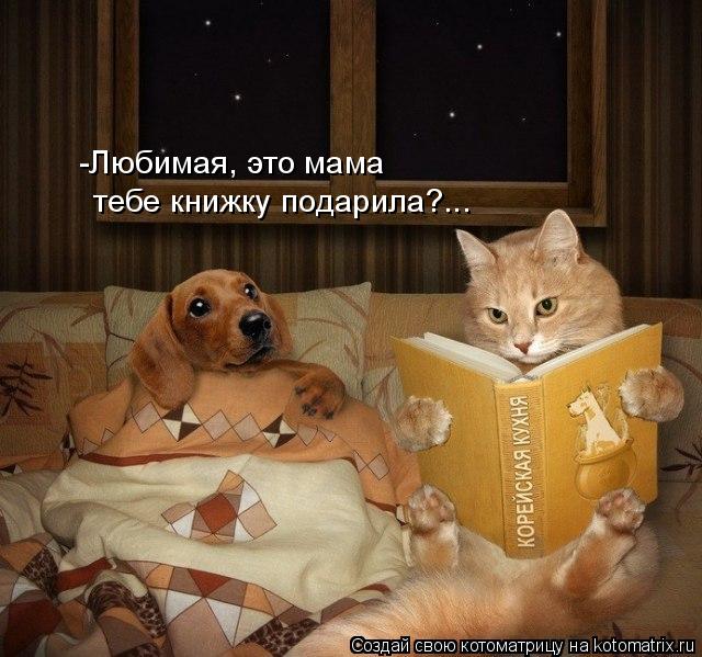 -Любимая, это мама тебе книжку подарила?...... Котоматрица: -Любимая, это мама тебе книжку подарила?...