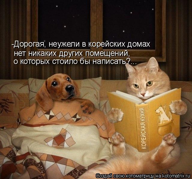 -Дорогая, неужели в корейских домах нет никаких других помещений, о которых стоило бы написать?...... Котоматрица: -Дорогая, неужели в корейских домах нет никаких других помещений, о которых стоило бы написать?...