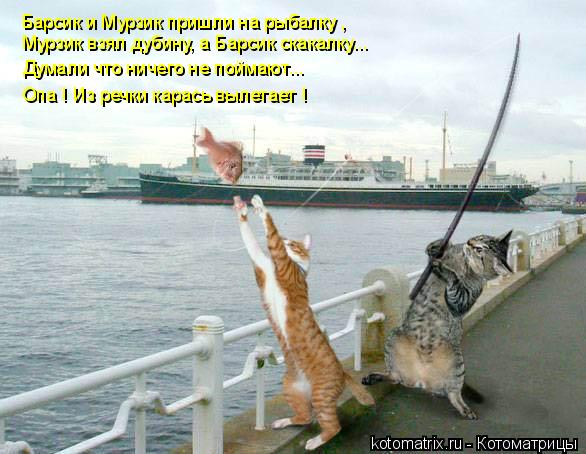 Барсик и Мурзик пришли на рыбалку , Думали что ничего не поймают... Опа ! Из речки карась вылетает ! ... Котоматрица: Барсик и Мурзик пришли на рыбалку , Думали что ничего не поймают... Опа ! Из речки карась вылетает ! Мурзик взял дубину, а Барсик скакалку...