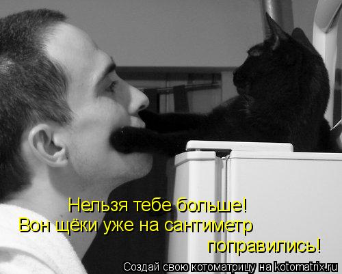 Нельзя тебе больше! Вон щёки уже на сантиметр поправились!... Котоматрица: Нельзя тебе больше! Вон щёки уже на сантиметр поправились!
