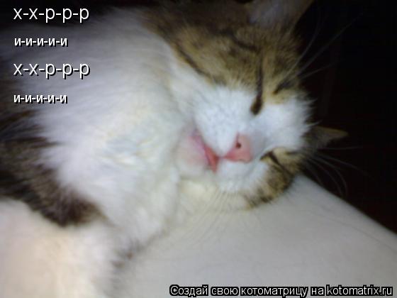 х-х-р-р-р х-х-р-р-р и-и-и-и-и и-и-и-и-и... Котоматрица: х-х-р-р-р х-х-р-р-р и-и-и-и-и и-и-и-и-и