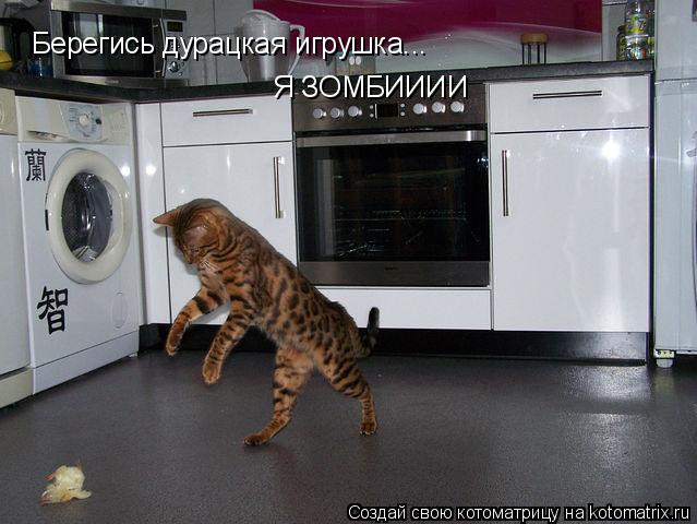 Берегись дурацкая игрушка... Я ЗОМБИИИИ... Котоматрица: Берегись дурацкая игрушка... Я ЗОМБИИИИ