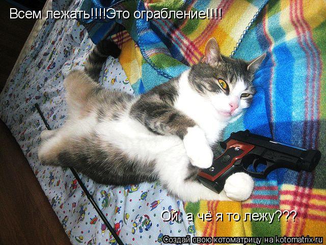 Всем лежать!!!!Это ограбление!!!! Ой, а чё я то лежу???... Котоматрица: Всем лежать!!!!Это ограбление!!!! Ой, а чё я то лежу???