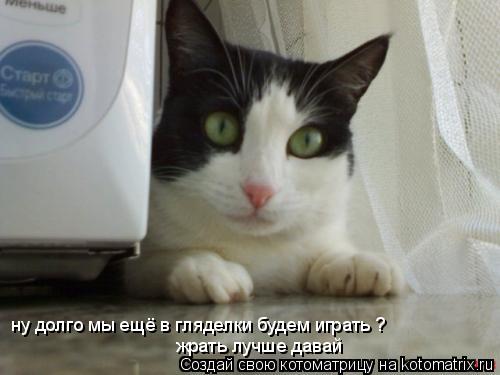 ну долго мы ещё в гляделки будем играть ? жрать лучше давай... Котоматрица: ну долго мы ещё в гляделки будем играть ? жрать лучше давай