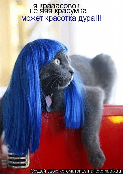 я крааасовок я крааасовок не яяя красумка может красотка дура!!!!... Котоматрица: я крааасовок я крааасовок не яяя красумка может красотка дура!!!!
