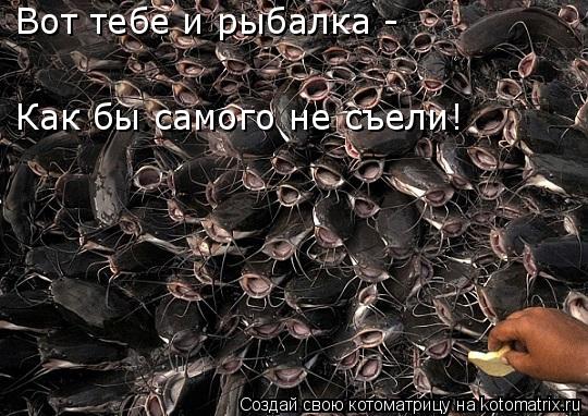 Вот тебе и рыбалка - Как бы самого не съели!... Котоматрица: Вот тебе и рыбалка - Как бы самого не съели!