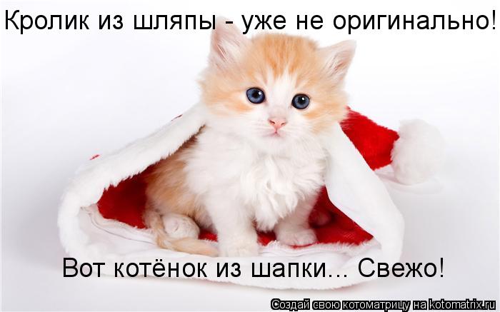 Кролик из шляпы - уже не оригинально! Вот котёнок из шапки... Свежо!... Котоматрица: Кролик из шляпы - уже не оригинально! Вот котёнок из шапки... Свежо!