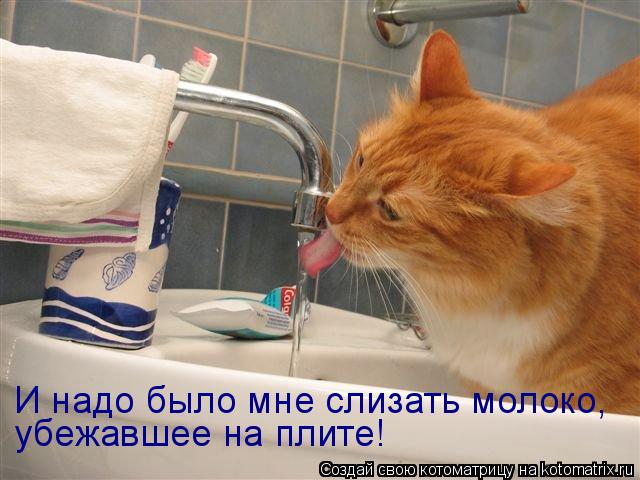 И надо было мне слизать молоко, убежавшее на плите!... Котоматрица: И надо было мне слизать молоко, убежавшее на плите!