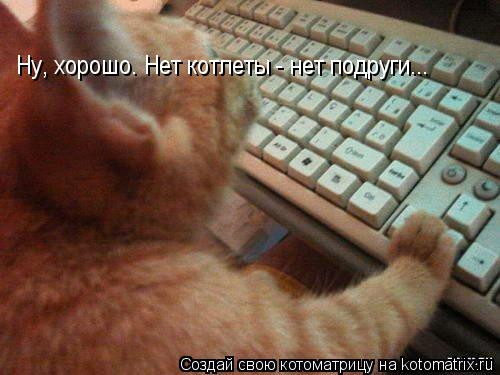 Ну, хорошо. Нет котлеты - нет подруги...... Котоматрица: Ну, хорошо. Нет котлеты - нет подруги...