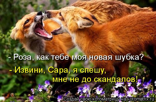 - Извини, Сара, я спешу, мне не до скандалов! - Роза, как тебе моя новая шубка?... Котоматрица: - Извини, Сара, я спешу, мне не до скандалов! - Роза, как тебе моя новая шубка?