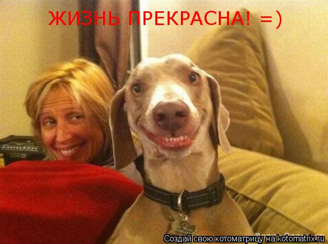 ЖИЗНЬ ПРЕКРАСНА! =)... Котоматрица: ЖИЗНЬ ПРЕКРАСНА! =)