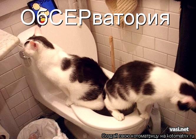ОбСЕРватория... Котоматрица: ОбСЕРватория