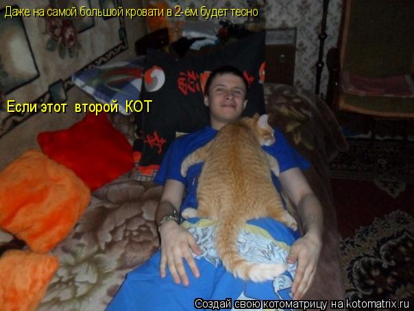 Даже на самой большой кровати в 2-ём.будет тесно Если этот второй КОТ... Котоматрица: Даже на самой большой кровати в 2-ём.будет тесно Если этот второй КОТ