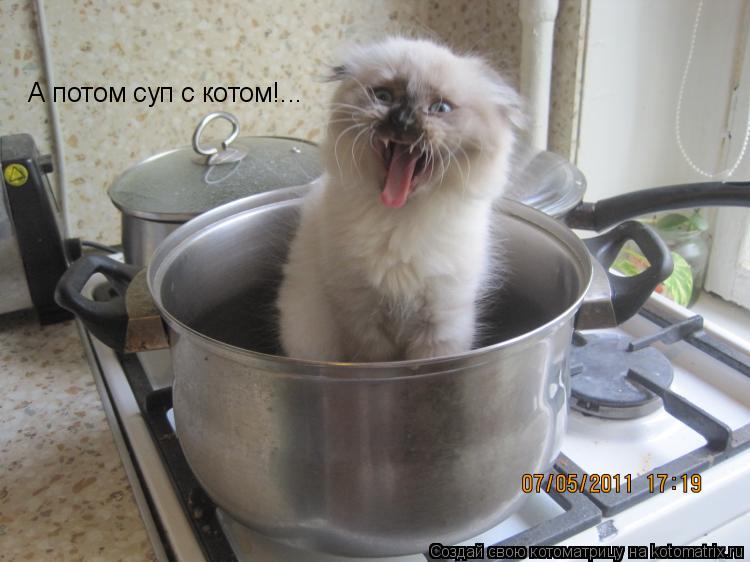 А потом суп с котом!...... Котоматрица: А потом суп с котом!...
