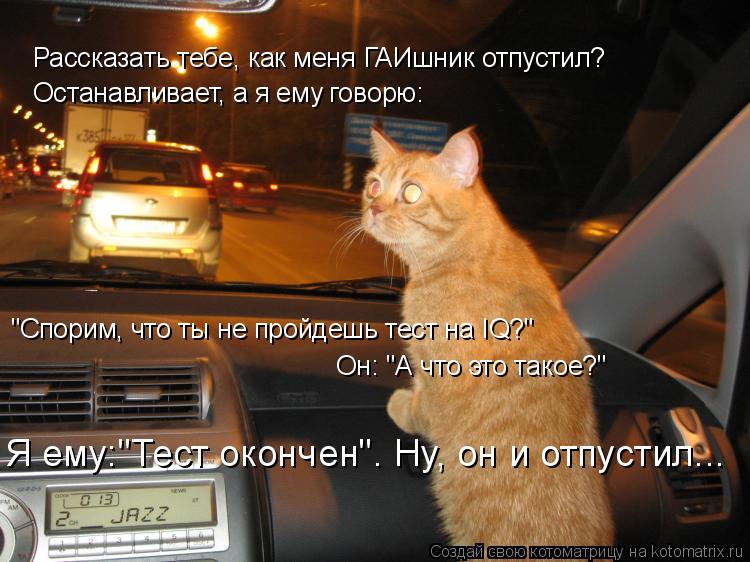 Рассказать тебе, как меня ГАИшник отпустил? Останавливает, а я ему говорю: "Спорим, что ты не пройд... Котоматрица: Рассказать тебе, как меня ГАИшник отпустил? Останавливает, а я ему говорю: "Спорим, что ты не пройдешь тест на IQ?" Он: "А что это такое?" Я ему:"Т